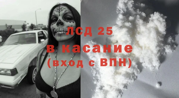 ГАЛЛЮЦИНОГЕННЫЕ ГРИБЫ Алзамай