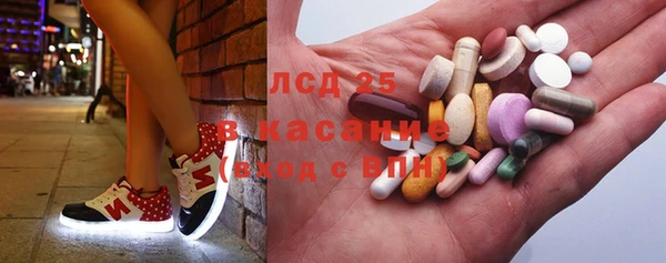ГАЛЛЮЦИНОГЕННЫЕ ГРИБЫ Алзамай