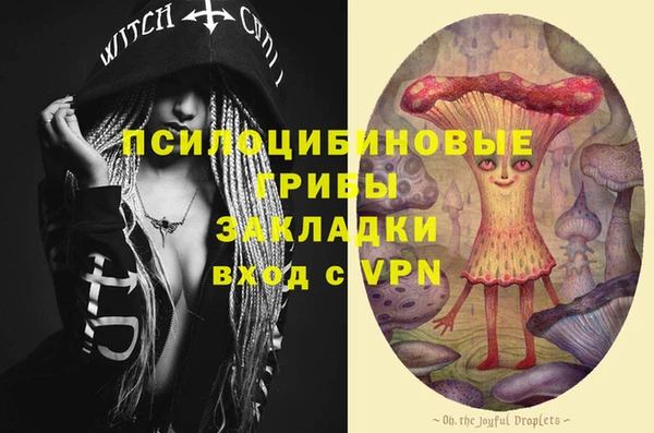 ГАЛЛЮЦИНОГЕННЫЕ ГРИБЫ Алзамай