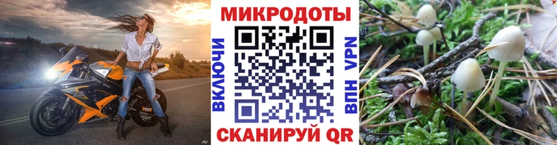 Галлюциногенные грибы мухоморы  Сыктывкар 